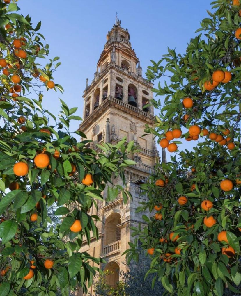 Rincon De San Nicolas * Córdoba